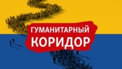 Георгий Нижарадзе: "Всякий честный человек сейчас за Украину"